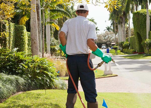 About Woodland NC Pest Control